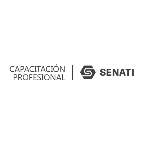 Capacitación Profesional Senati